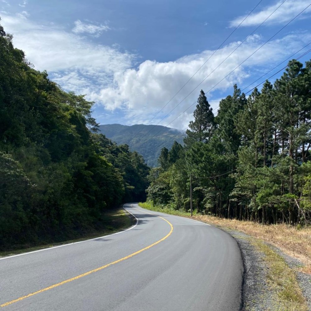 Meet your Posher, Patricia